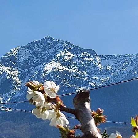 Villa Sole كوليكو المظهر الخارجي الصورة